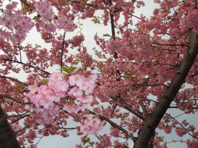 DSCF3612.JPG