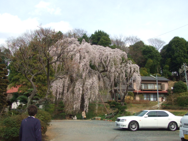DSCF3695.JPG