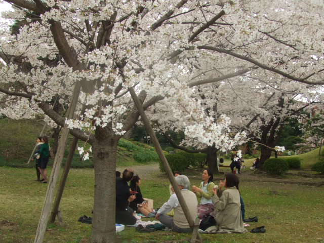 DSCF3745.JPG