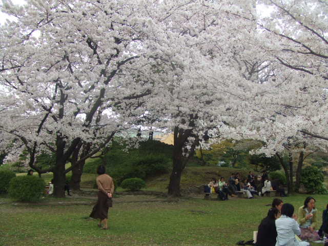 DSCF3746.JPG