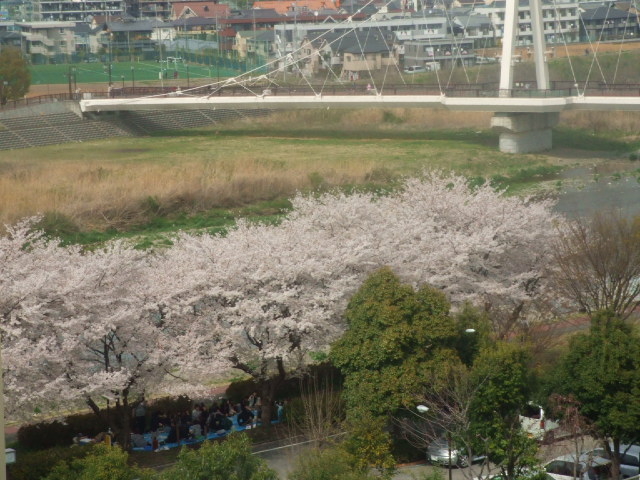 DSCF3749.JPG