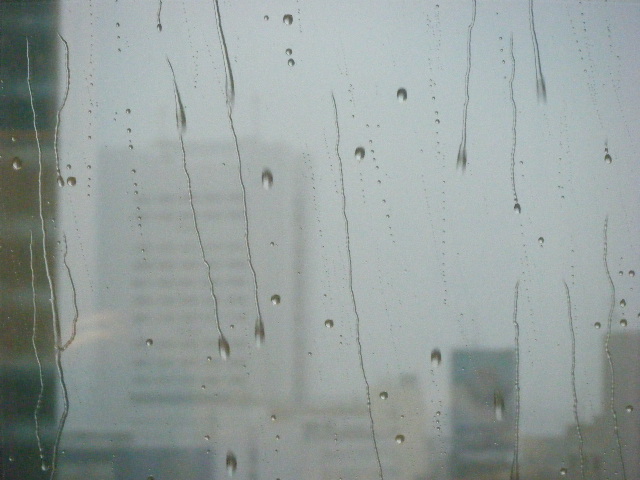 DSCF4144.JPG
