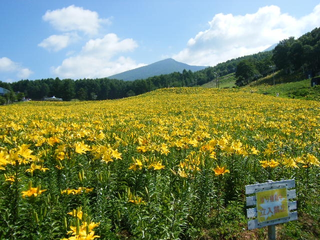 DSCF4562.JPG