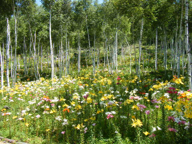 DSCF4576.JPG
