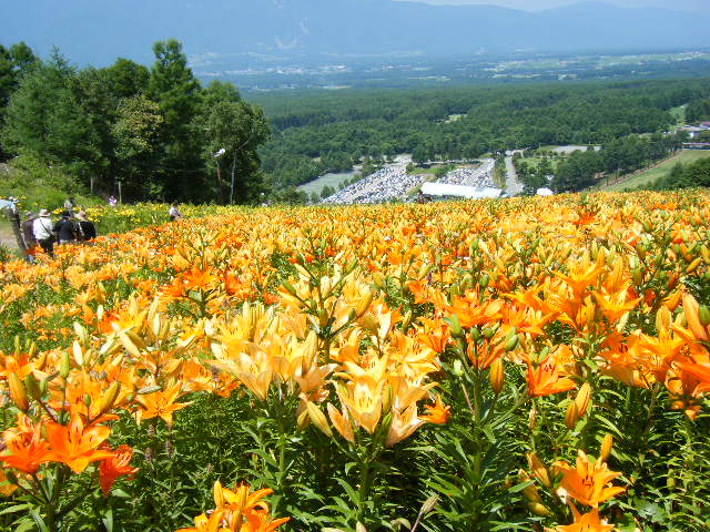 DSCF4582.JPG