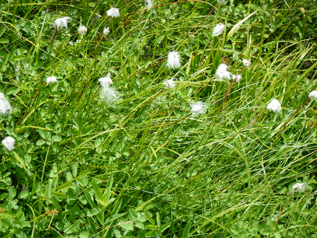 DSCF4653.JPG
