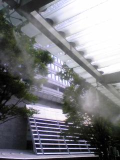 DVC00012.JPG