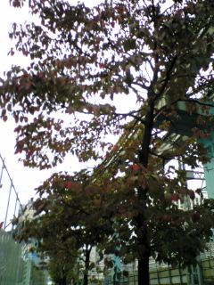 DVC00021.JPG