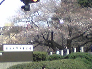 DVC00063.JPG