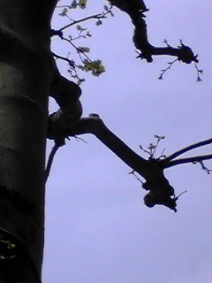 DVC00116.JPG