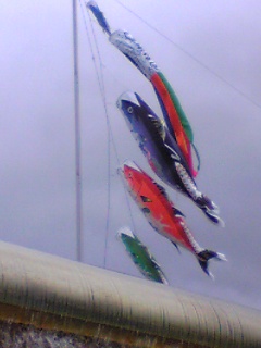 DVC00190.JPG