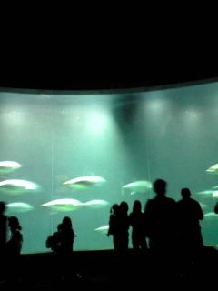 DVC00196.JPG