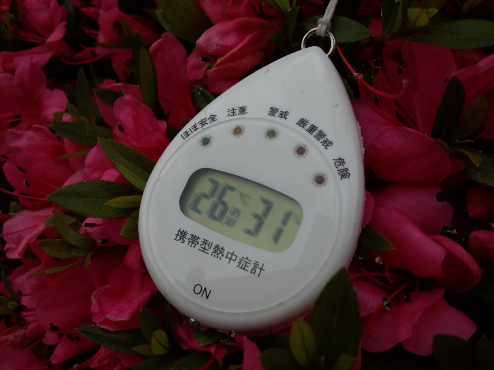 0000-3.jpg