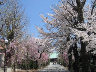 090407kitijouji.jpg