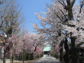 090407kitijouji.jpg