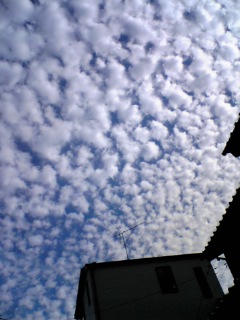 DVC00220.JPG