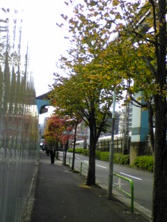 DVC00256.JPG