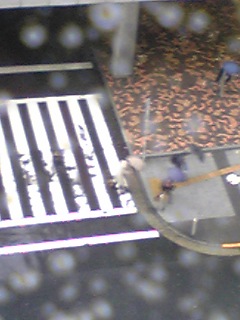 DVC00301.JPG