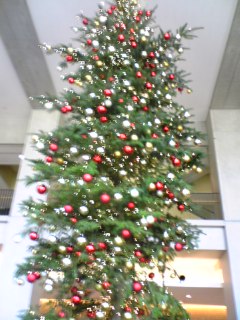 DVC00314.JPG