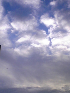 DVC00363.JPG