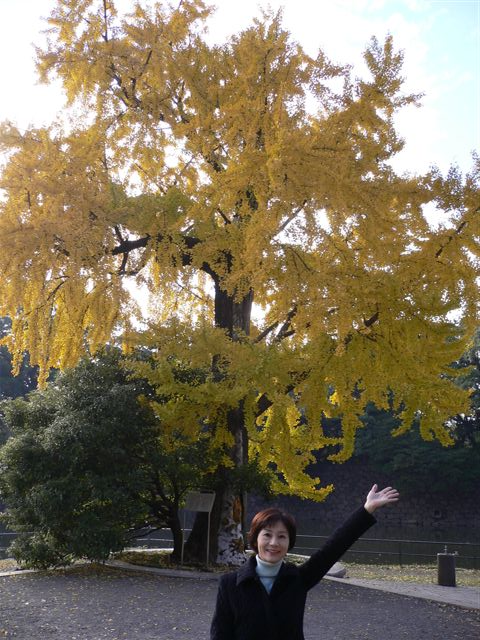 いちょう佳子.bmp