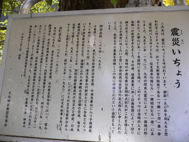 震災いちょう.jpg