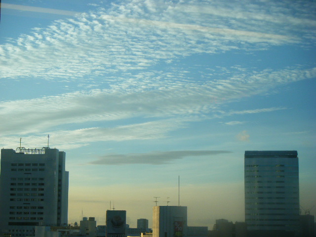 DSCF4714.JPG