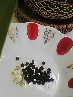 seeds