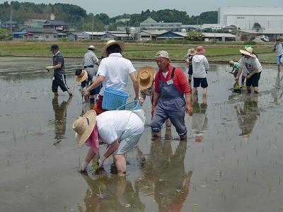 指導する平田さん.JPG