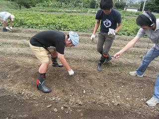 種植え田中.JPG