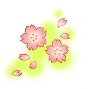cherryblossom.jpg
