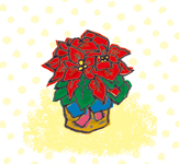 poinsettia.jpg