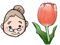 tulip-obachan.jpg