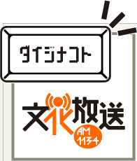 �_�C�W�i�R�g �������� AM1134